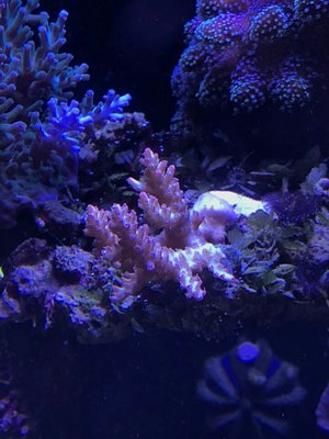 2017123116372801.jpg
