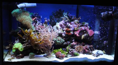 DSC_0105.jpg