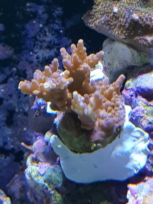 20180114_111119-1512x2016.jpg