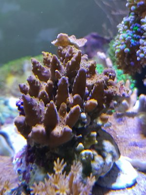 20180114_111158-1512x2016.jpg