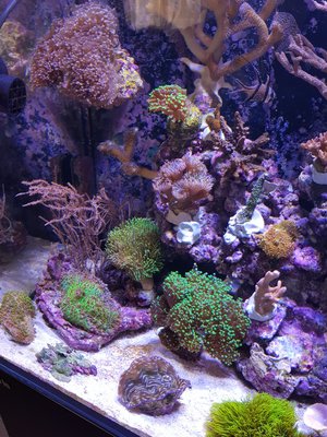 20180114_115656-1512x2016.jpg