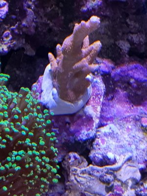 20180114_115630-1512x2016.jpg