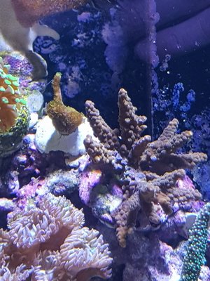 20180114_115726-1512x2016.jpg