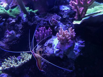 2018012113323201.jpg