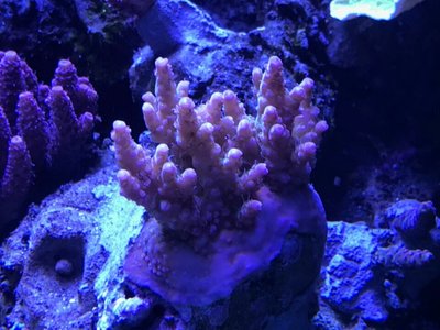 2018012113323202.jpg