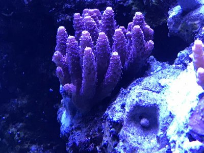 2018012113323300.jpg