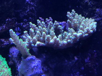 2018012113323301.jpg