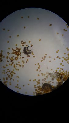 20180130_202909-1134x2016.jpg
