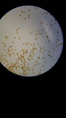 20180130_201400-1134x2016.jpg