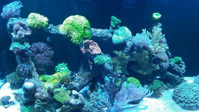 k-20180131_160547.jpg