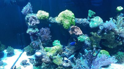 k-20180131_160600.jpg
