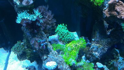 k-20180131_160610.jpg