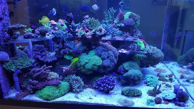 20180113_103442_resized.jpg