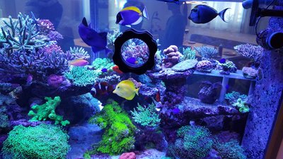 20180113_103435_resized.jpg