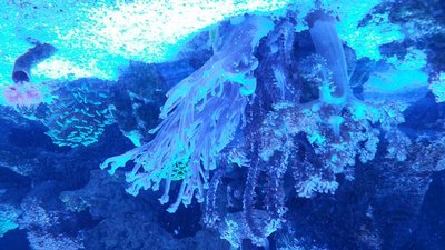 k-20180210_195741.jpg