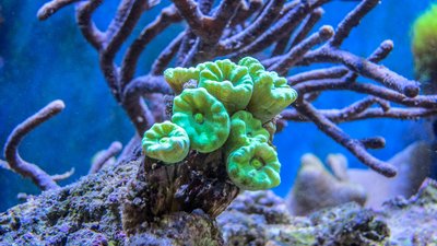 20180228-IMG_0996.jpg