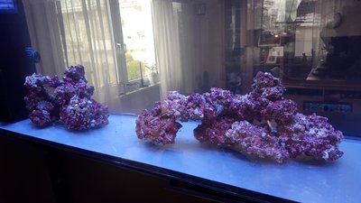 20180304_114746.JPG