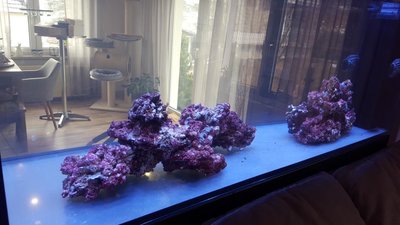 20180304_114811.JPG