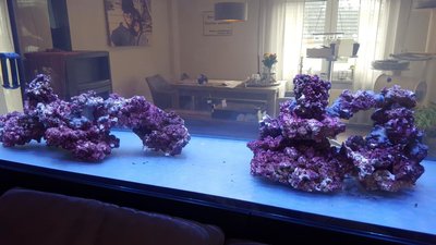 20180304_114827.JPG
