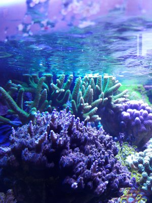 20170807_125613-1548x2064.jpg