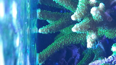 IMG-20180223-WA0017.jpeg