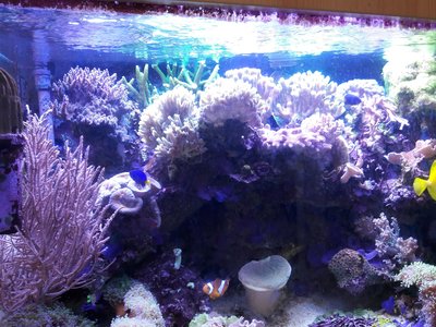 20180224_122956-2064x1548.jpg