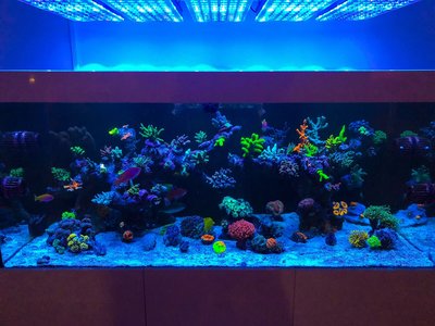IMG_1048.jpg