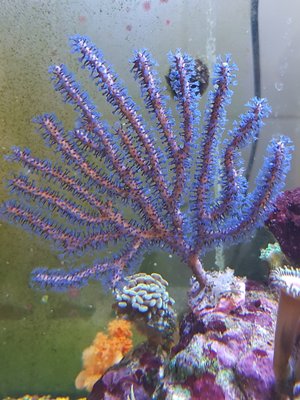 20180415_123737-1512x2016.jpg