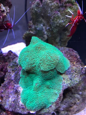 IMG_0003.jpg