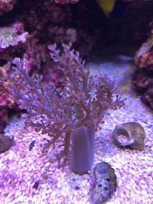 IMG_0005.jpg