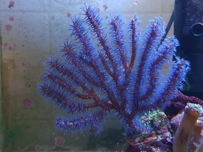 20180520_110146-2016x1512.jpg