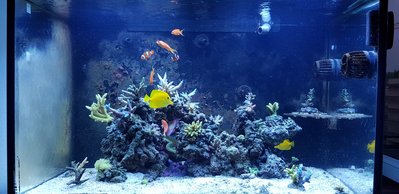 20180819_205537-2016x980.jpg