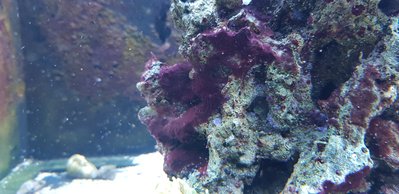 20180914_111143-2016x980.jpg