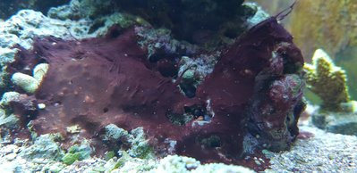 20180914_111202-2016x980.jpg