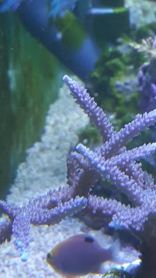 20181011_182154-1195x2124.jpg