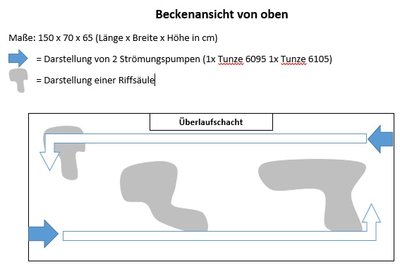 Strömungsbild.jpg