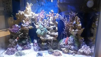 20151025_143008.jpg