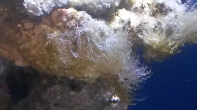 20151025_143022.jpg