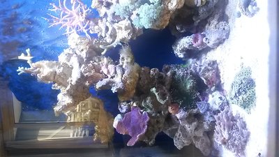 20151025_143039.jpg
