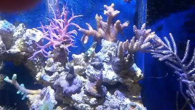 20151025_143050.jpg