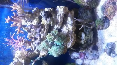20151025_143102.jpg