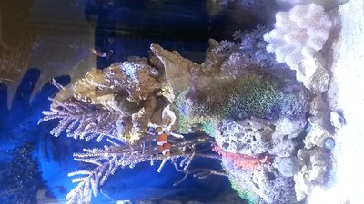 20151025_143109.jpg