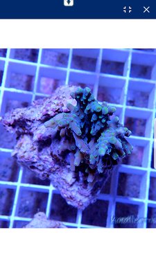 20181214_133205.jpg
