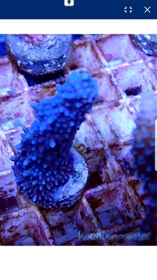 20181214_133125.jpg