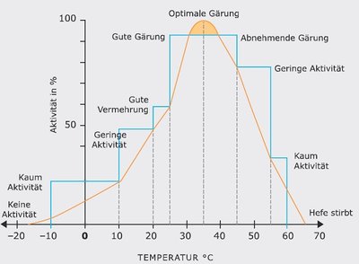 temperatur-hefe.jpg