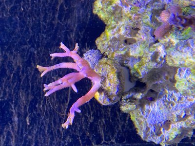 IMG_0546.jpg
