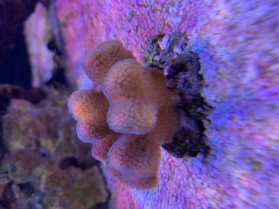 IMG_0545.jpg