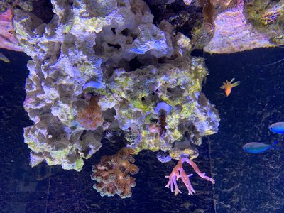 IMG_0540.jpg
