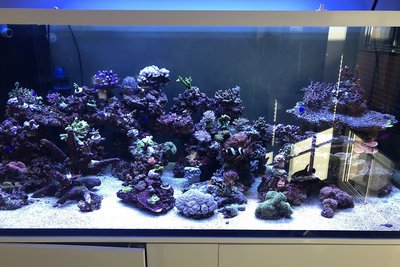 IMG_02012019113642.jpg