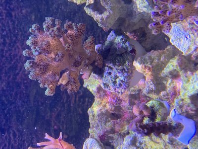 IMG_0623.jpg